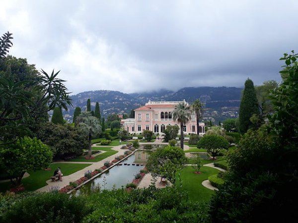 Les meilleures variétés de vigne pour une pergola ombragée dans votre jardin méditerranéen